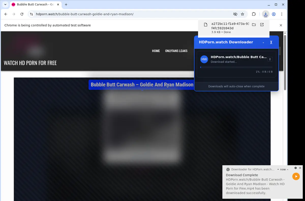 Hdpornwatch Video Downloader browser extension screenshot 2